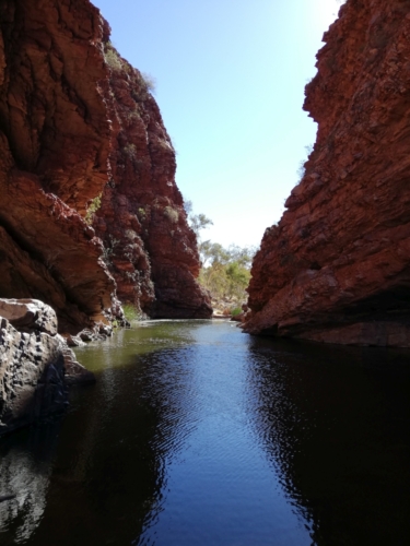 Simsons Gap