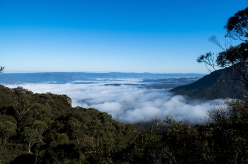 Ranný opar nad Blue Mountains